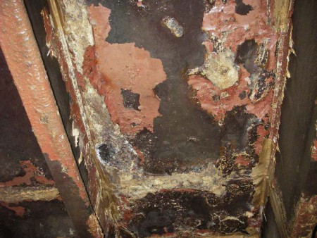Marine Inspection Services image 4