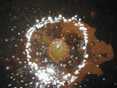 Marine Inspection Services image 4